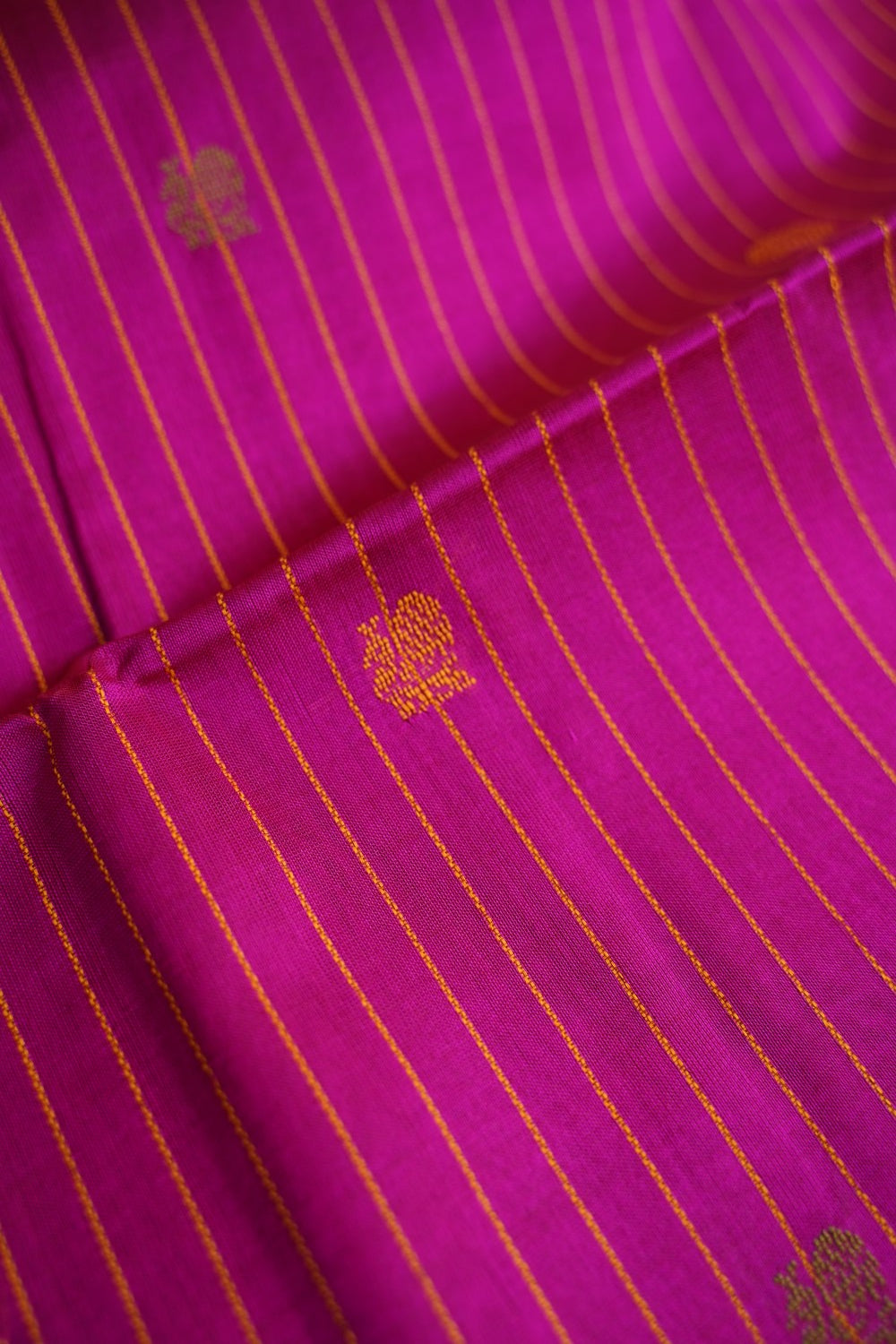 Kanchi Silk Cotton Saree PC18178
