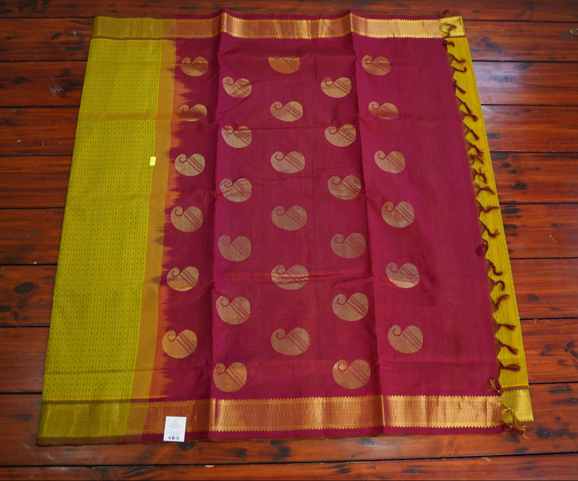 10 Yards  Kanchi Handloom Silk Cotton Saree PC14523