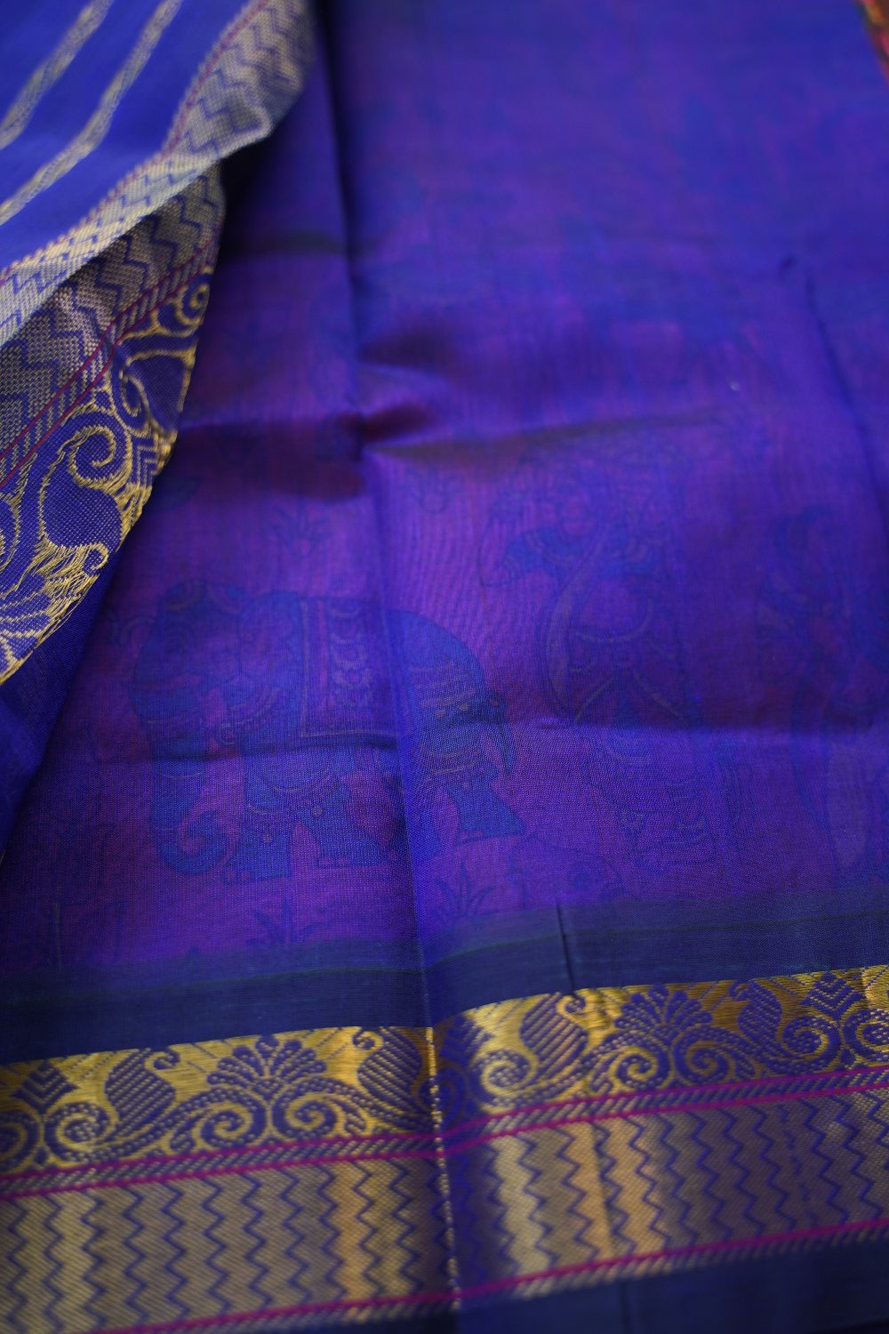 Kanchi Handloom Silk Cotton Saree PC17259