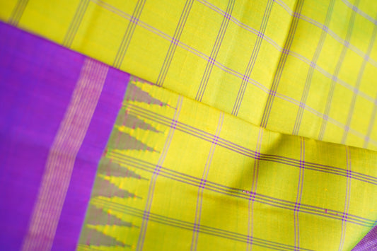 Leaf Green Narayanapet Checks  handloom Cotton Saree with Thread border PC11145