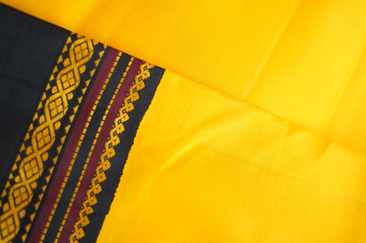 Green Narayanapet handloom Cotton Saree with Thread border PC11149