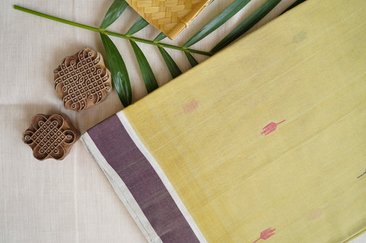 Ponduru handloom Cotton Saree -PC13953