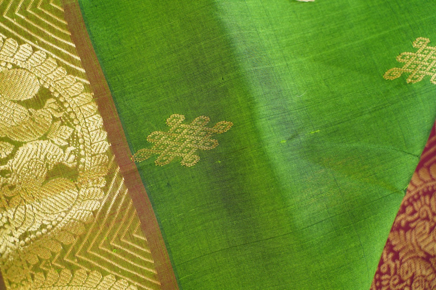 Kanchi Handloom Silk Cotton Saree PC14641