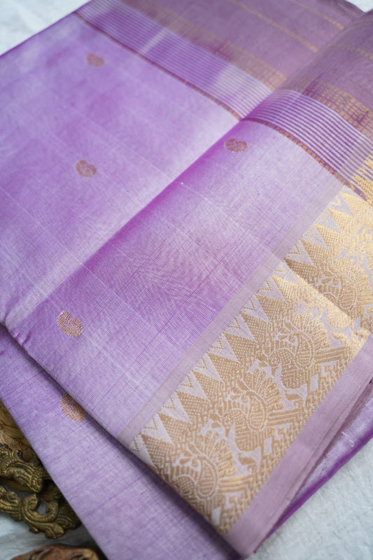 Kanchi Silk Cotton Saree PC18448