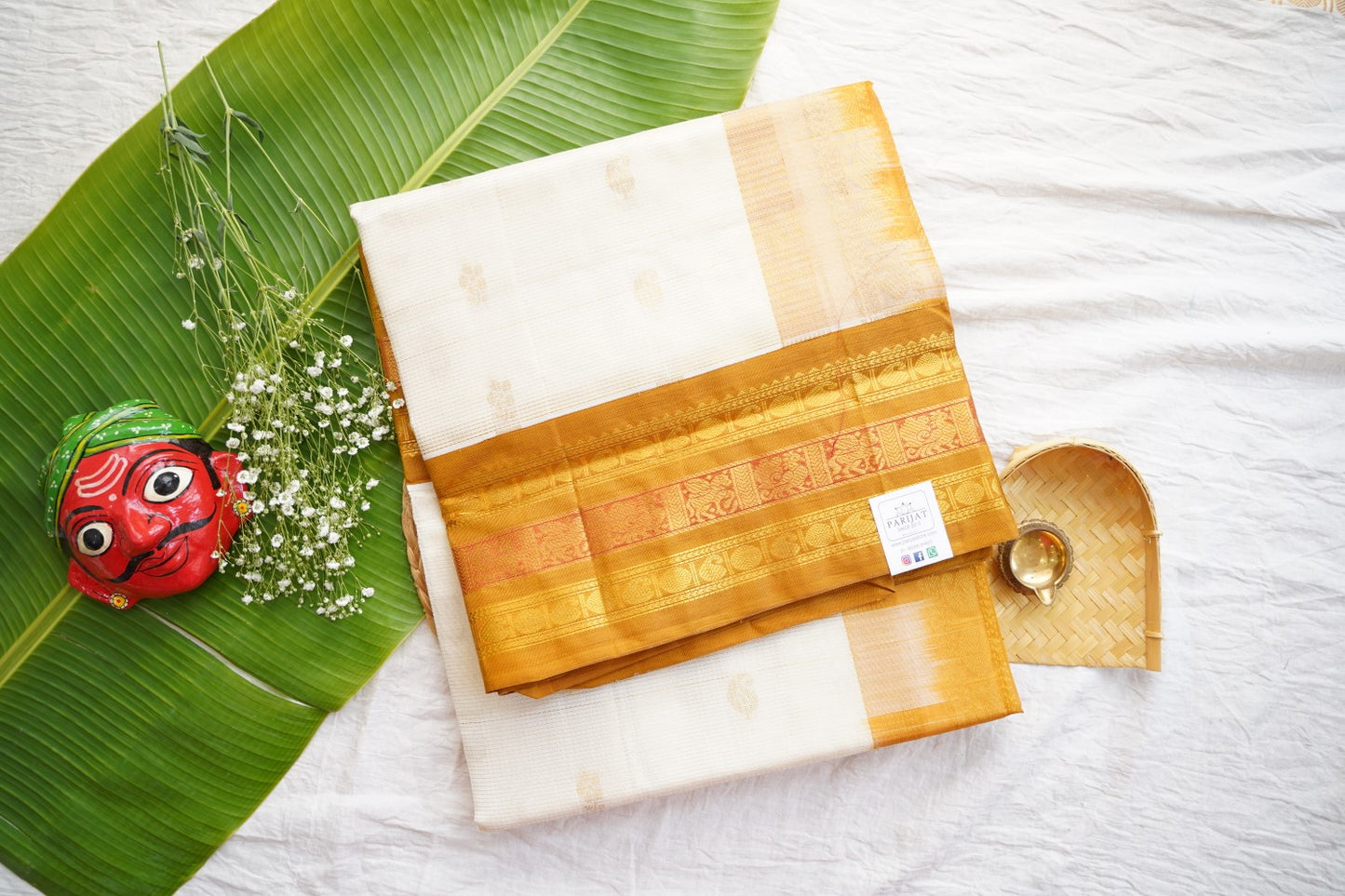 Kanchi Handloom Silk Cotton Saree pc16310