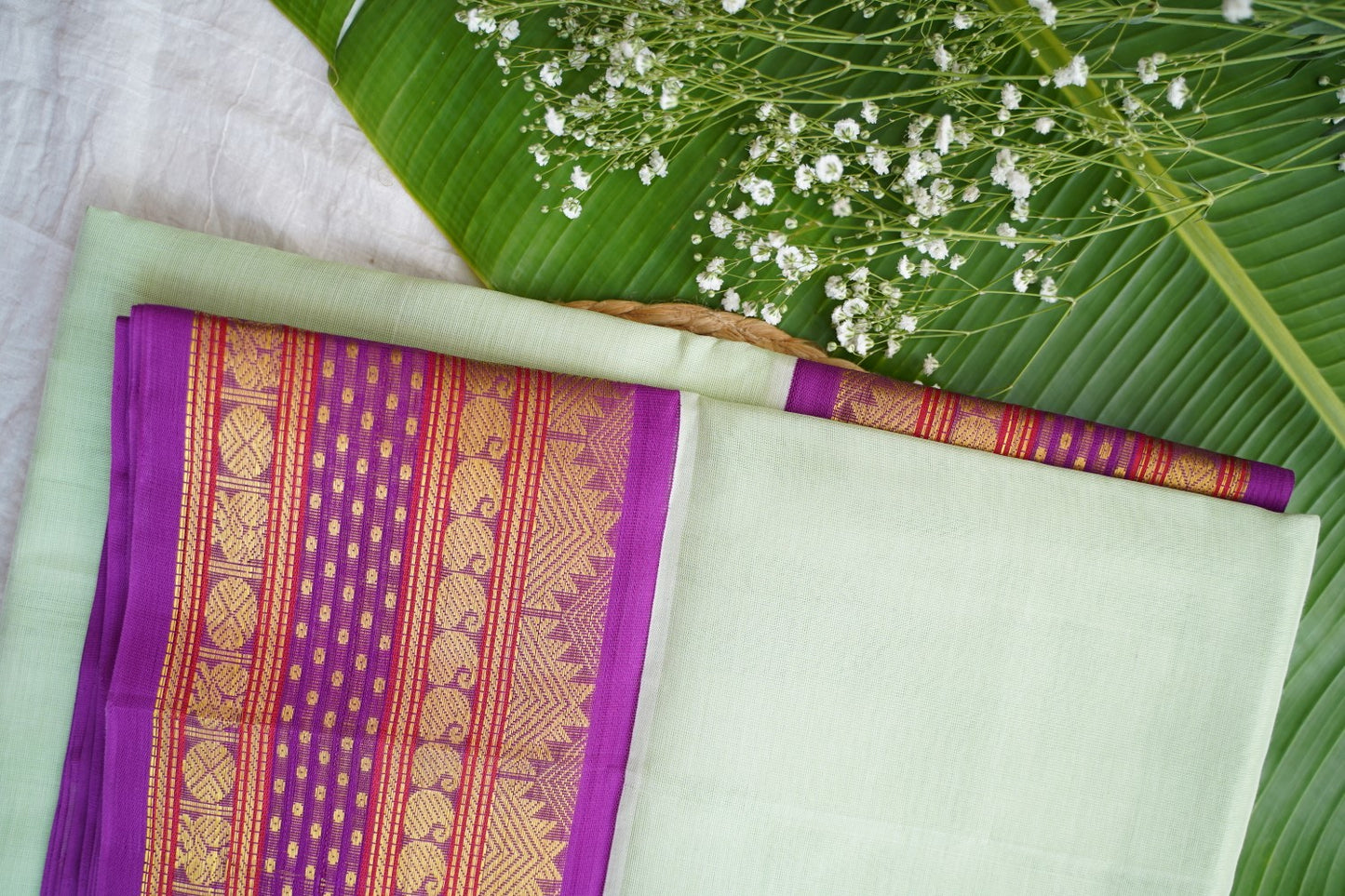 Kanchi Handloom Silk Cotton Saree pc16321