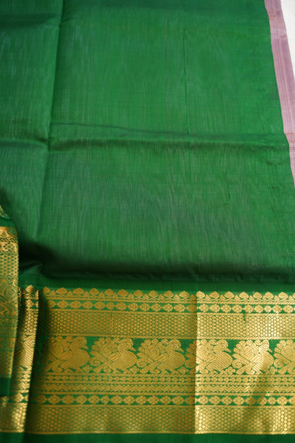 Kanchi Handloom Silk Cotton Saree PC18463