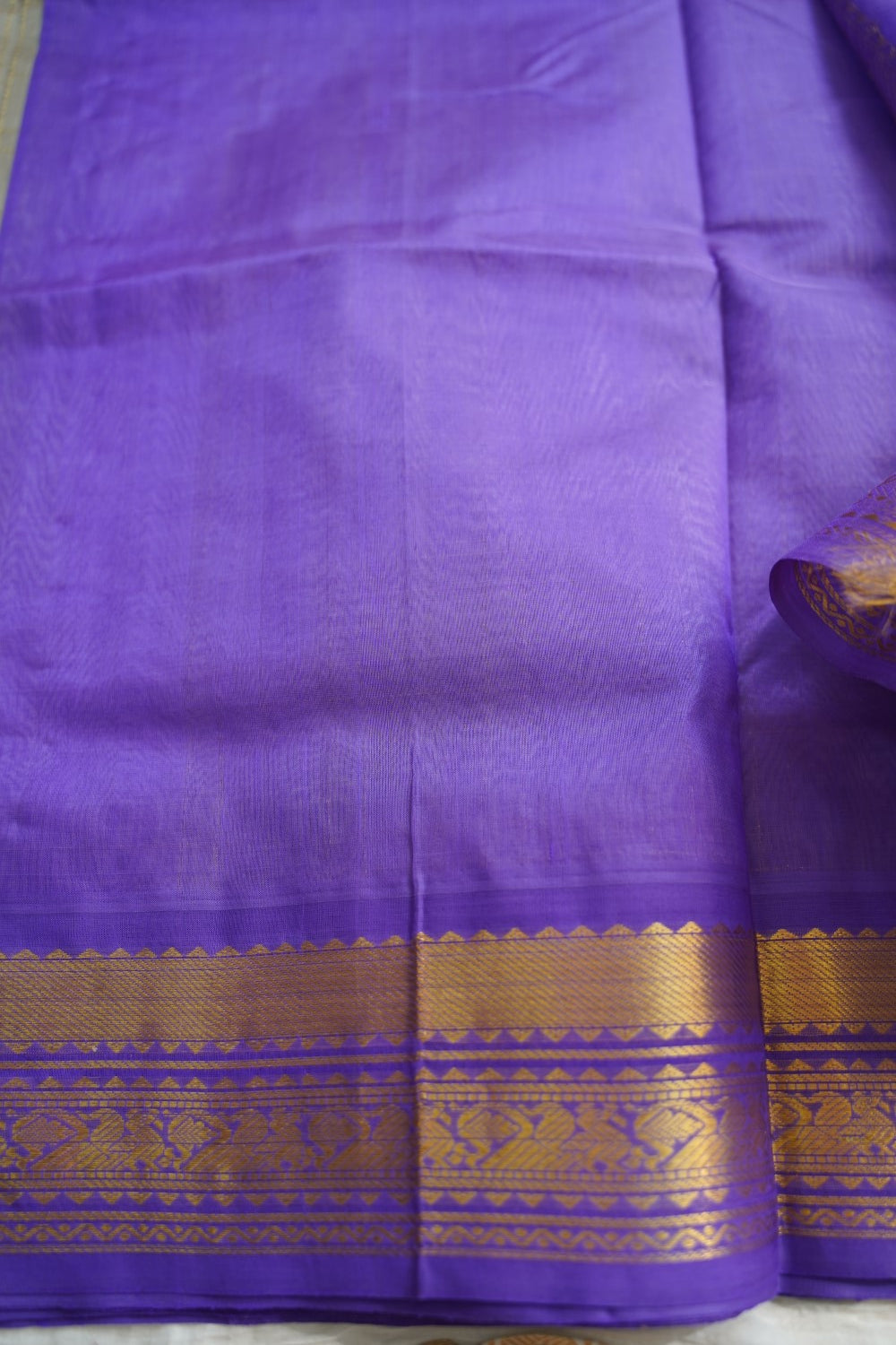 Kanchi Silk Cotton Saree PC18470