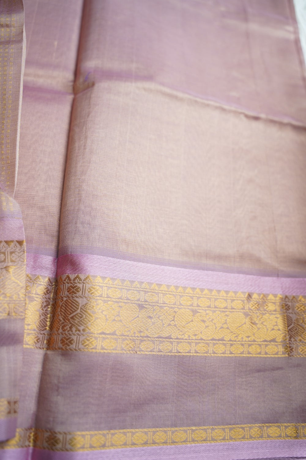 Kanchi Handloom Silk Cotton Saree PC18488