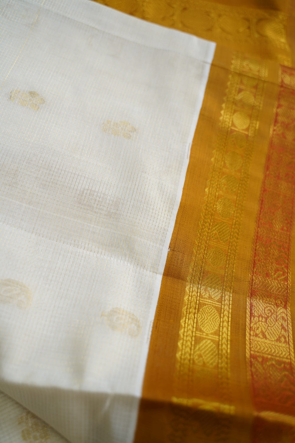 Kanchi Handloom Silk Cotton Saree pc16310
