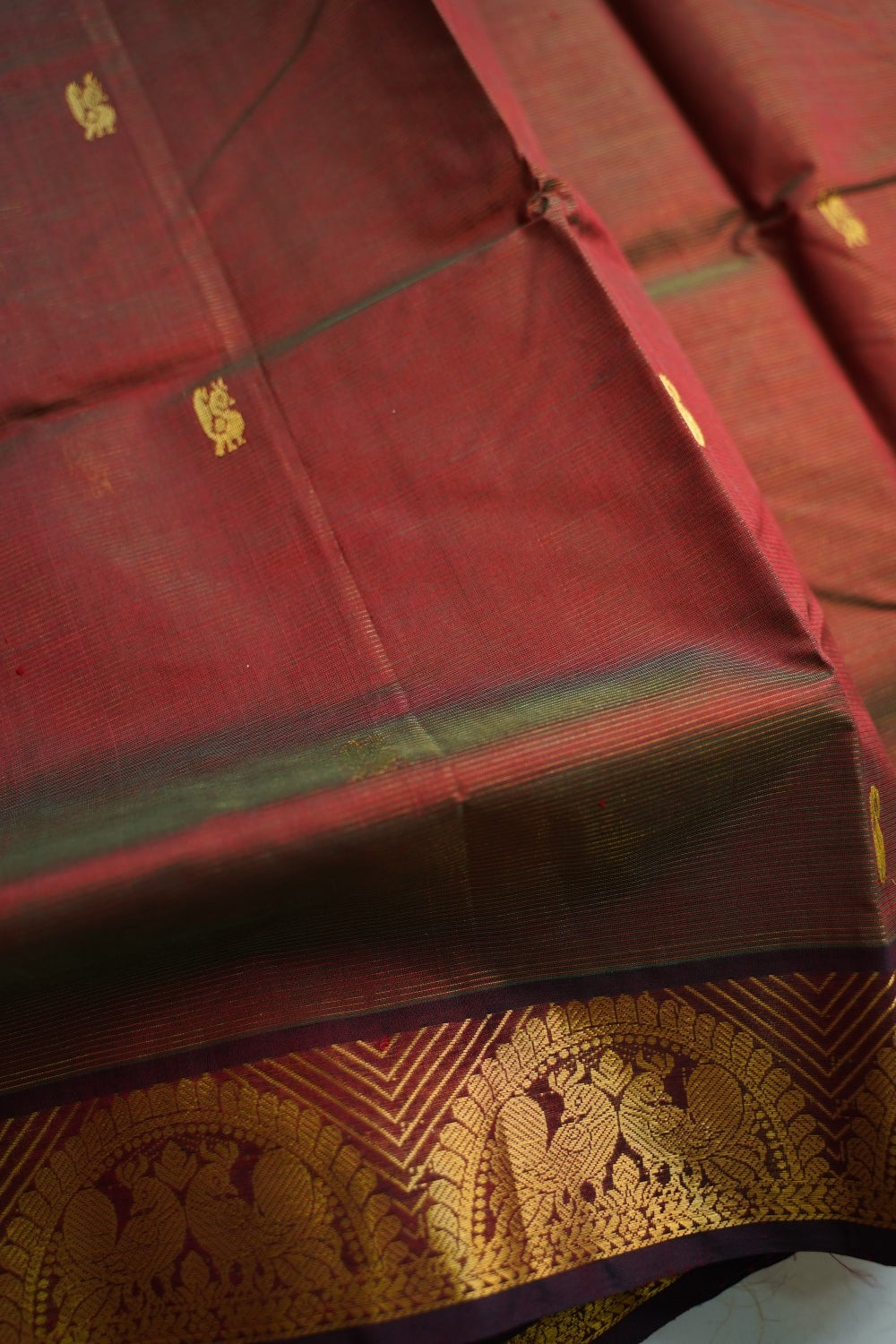 Kanchi Handloom Silk Cotton Saree PC18501