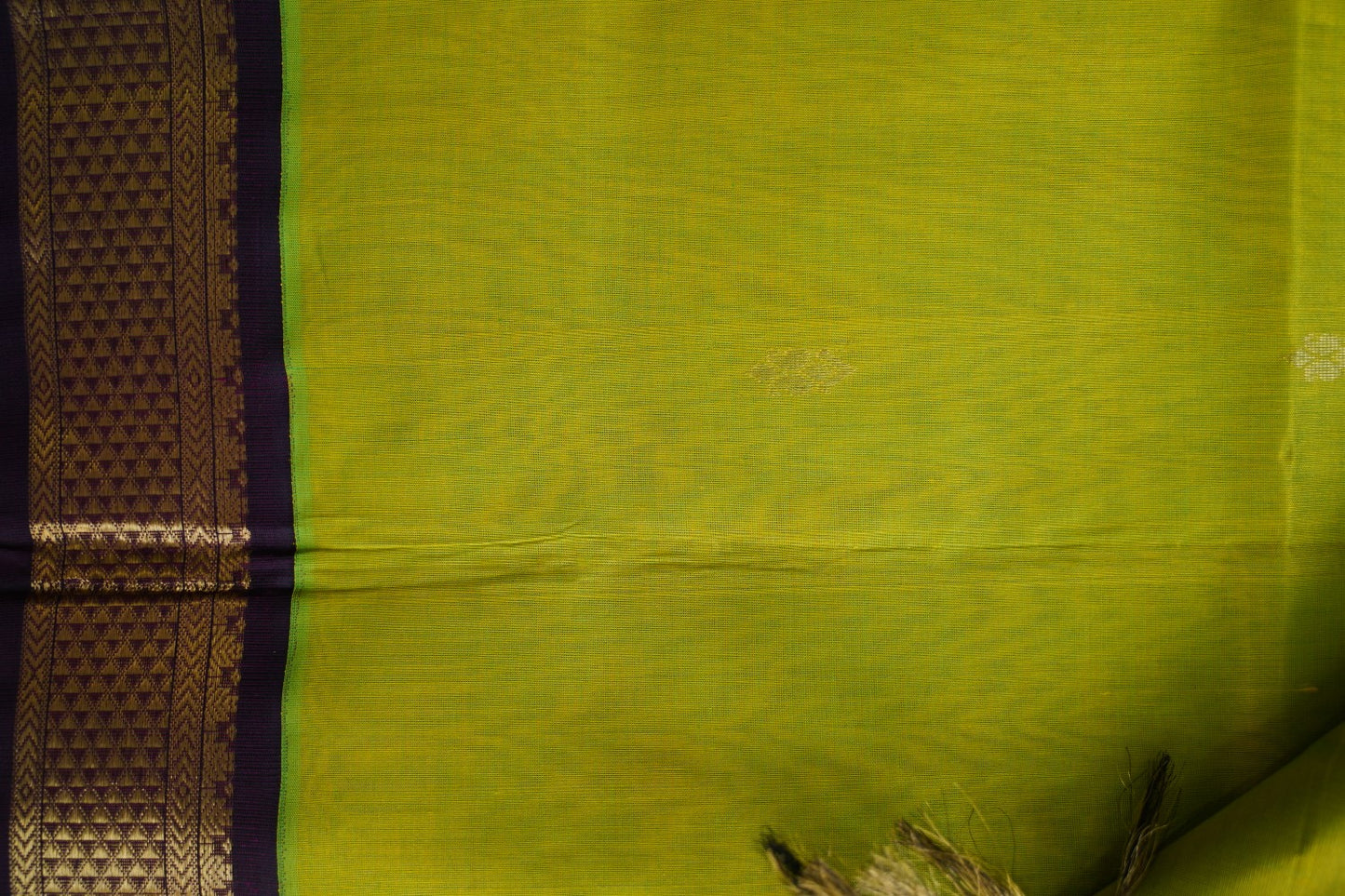 Kanchi Handloom Silk Cotton Saree pc16308