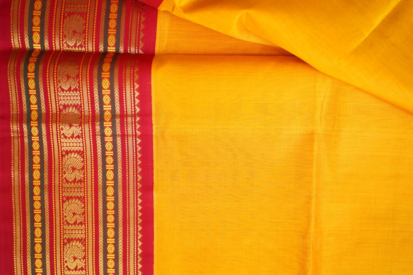 Kanchi Handloom Silk Cotton Saree pc16319