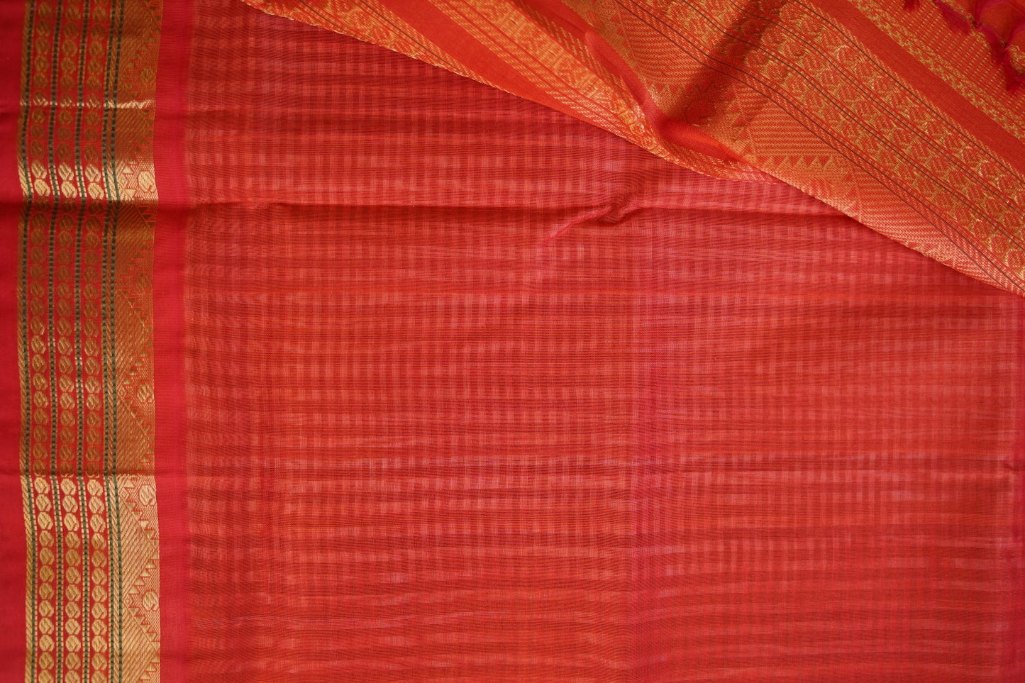 Kanchi Handloom Silk Cotton Saree pc16309