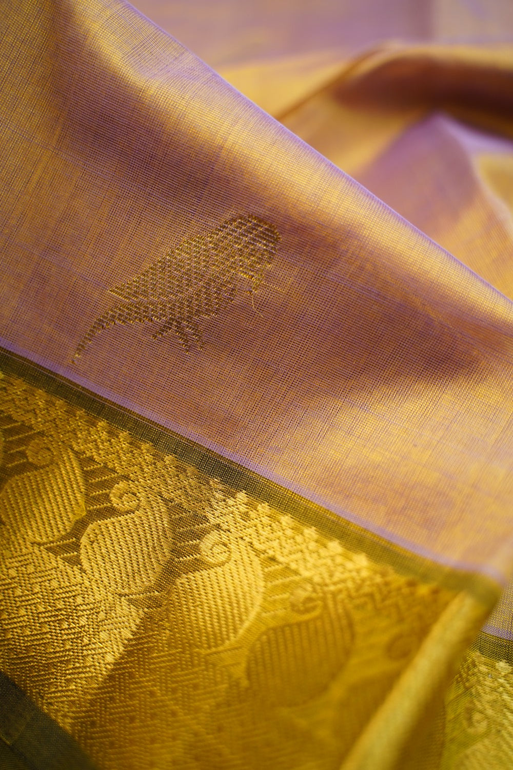 Kanchi Handloom Silk Cotton Saree PC17426