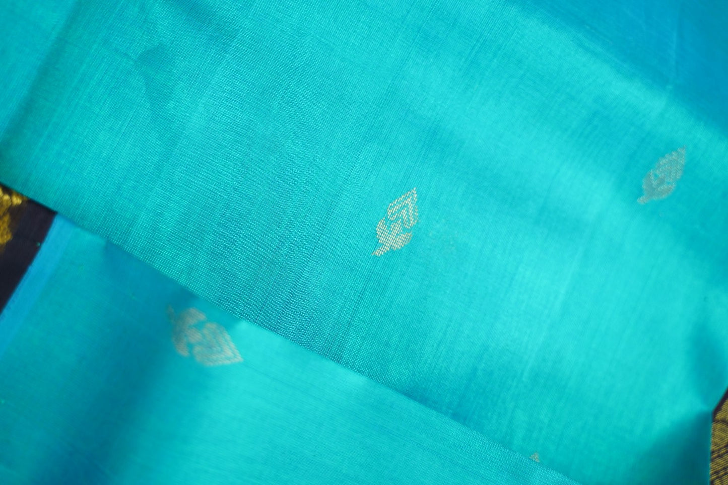 Kanchi Handloom Silk Cotton Saree PC14805