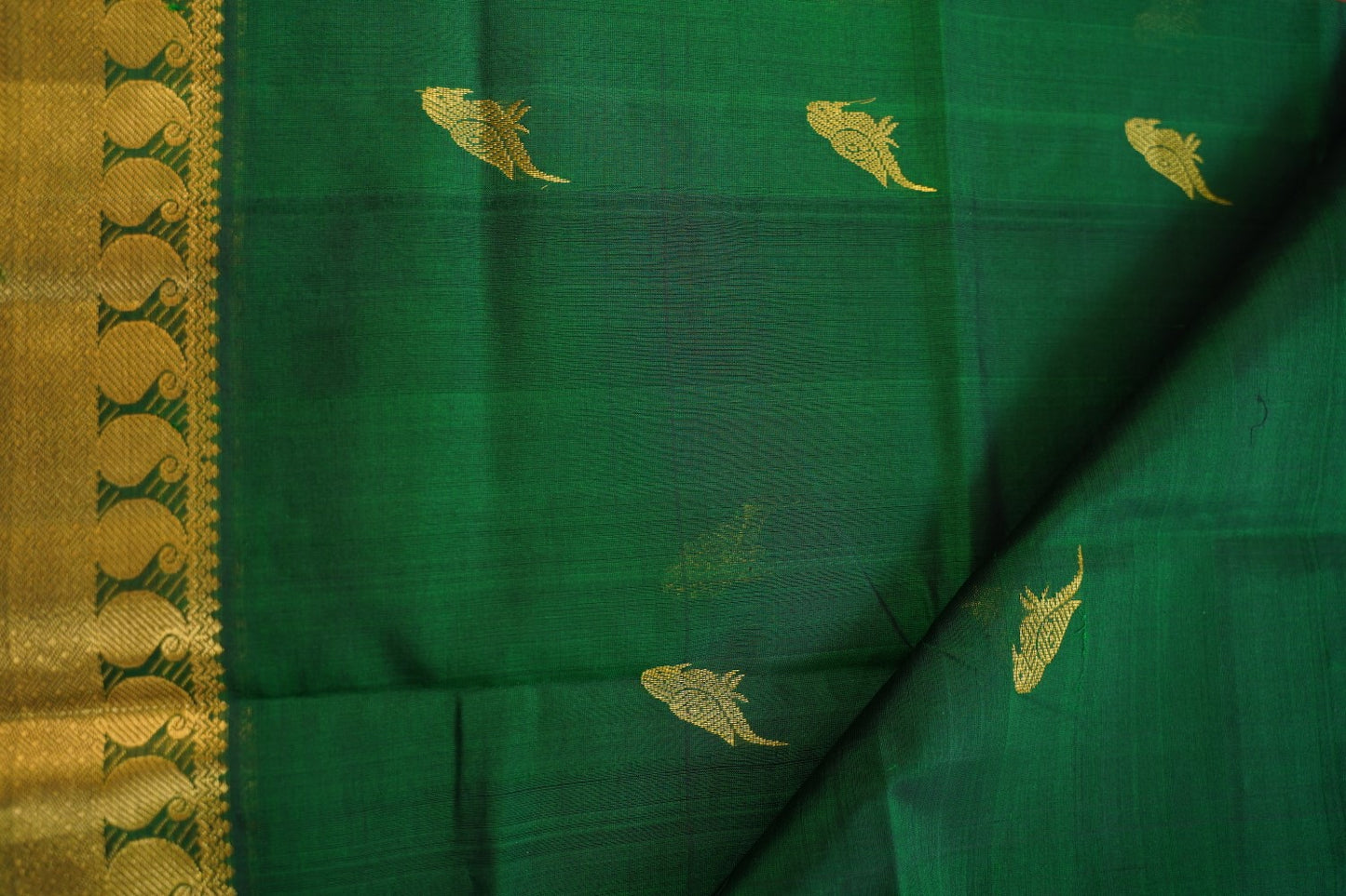 Kanchi Handloom Silk Cotton Saree PC17414