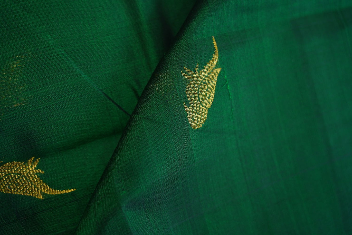 Kanchi Handloom Silk Cotton Saree PC17414