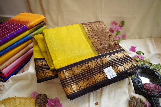 Kanchi Handloom Silk Cotton Saree PC12164