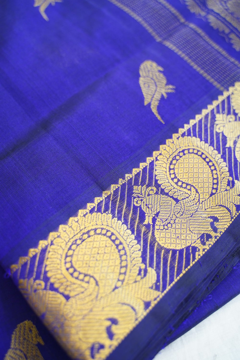 Kanchi Handloom Silk Cotton Saree-PC16615