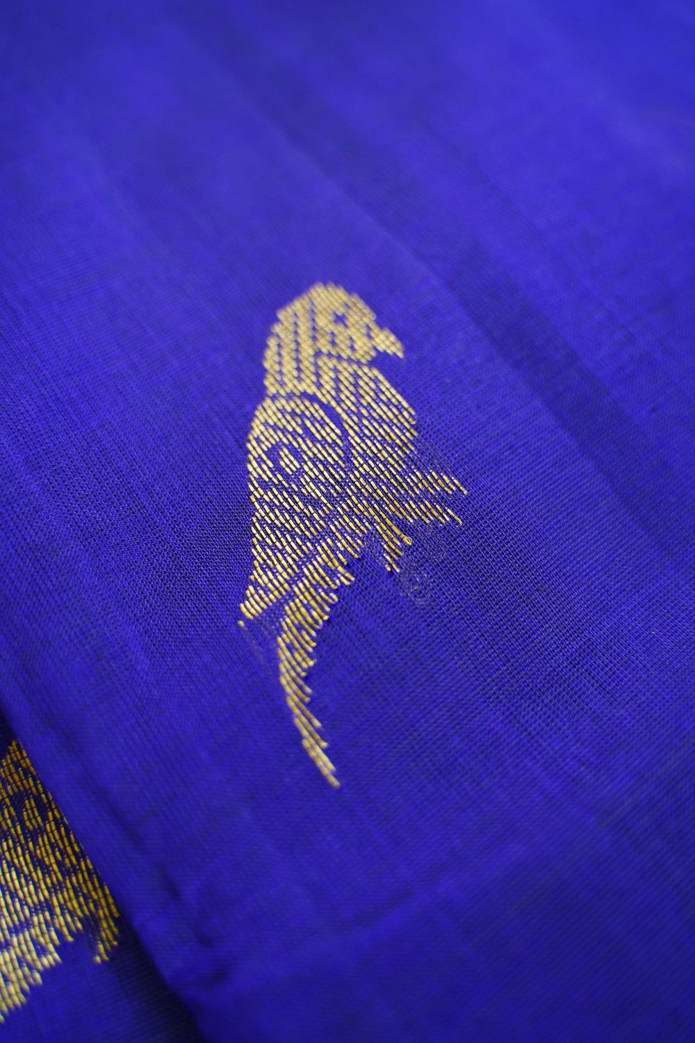 Kanchi Handloom Silk Cotton Saree-PC16615