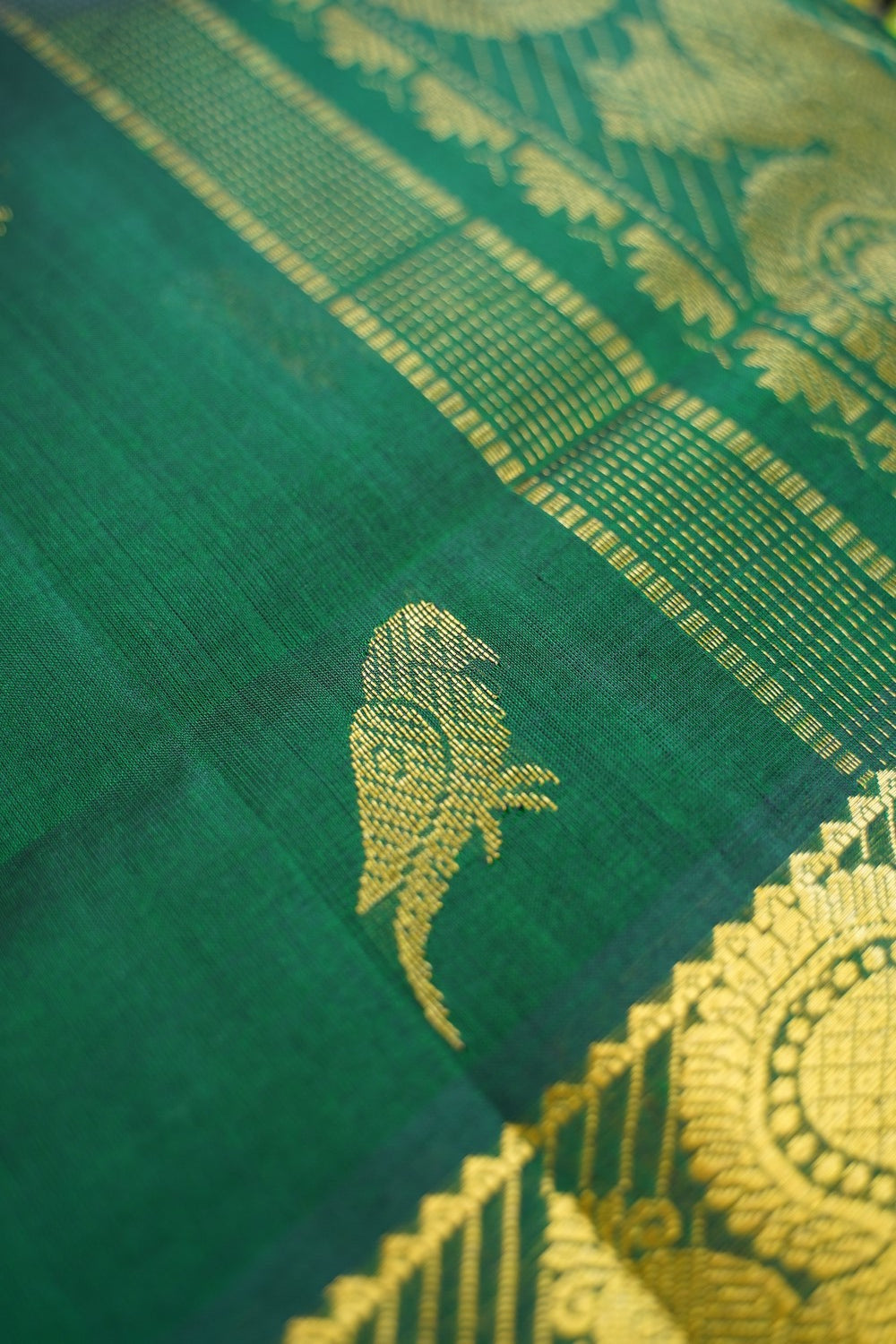 Kanchi Handloom Silk Cotton Saree-PC16616