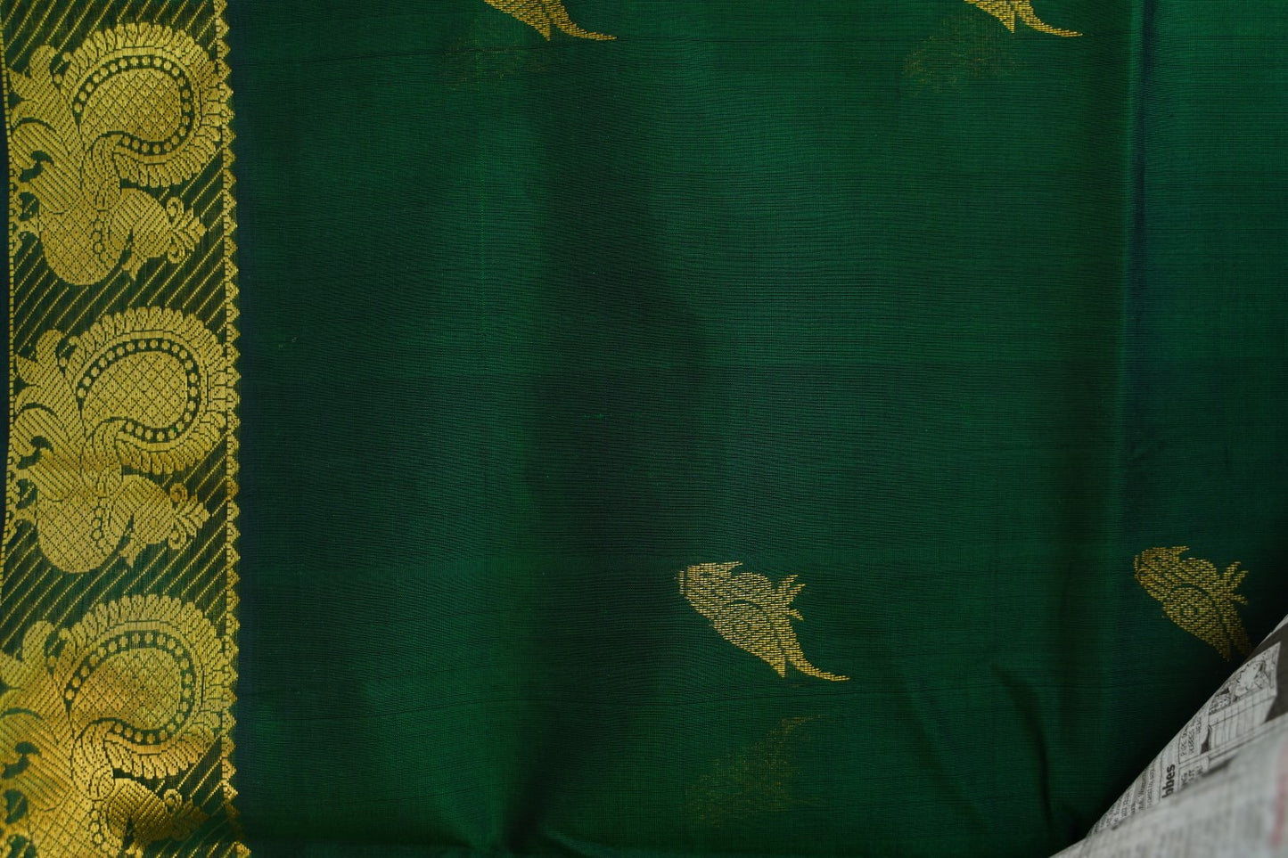 Kanchi Handloom Silk Cotton Saree-PC16616