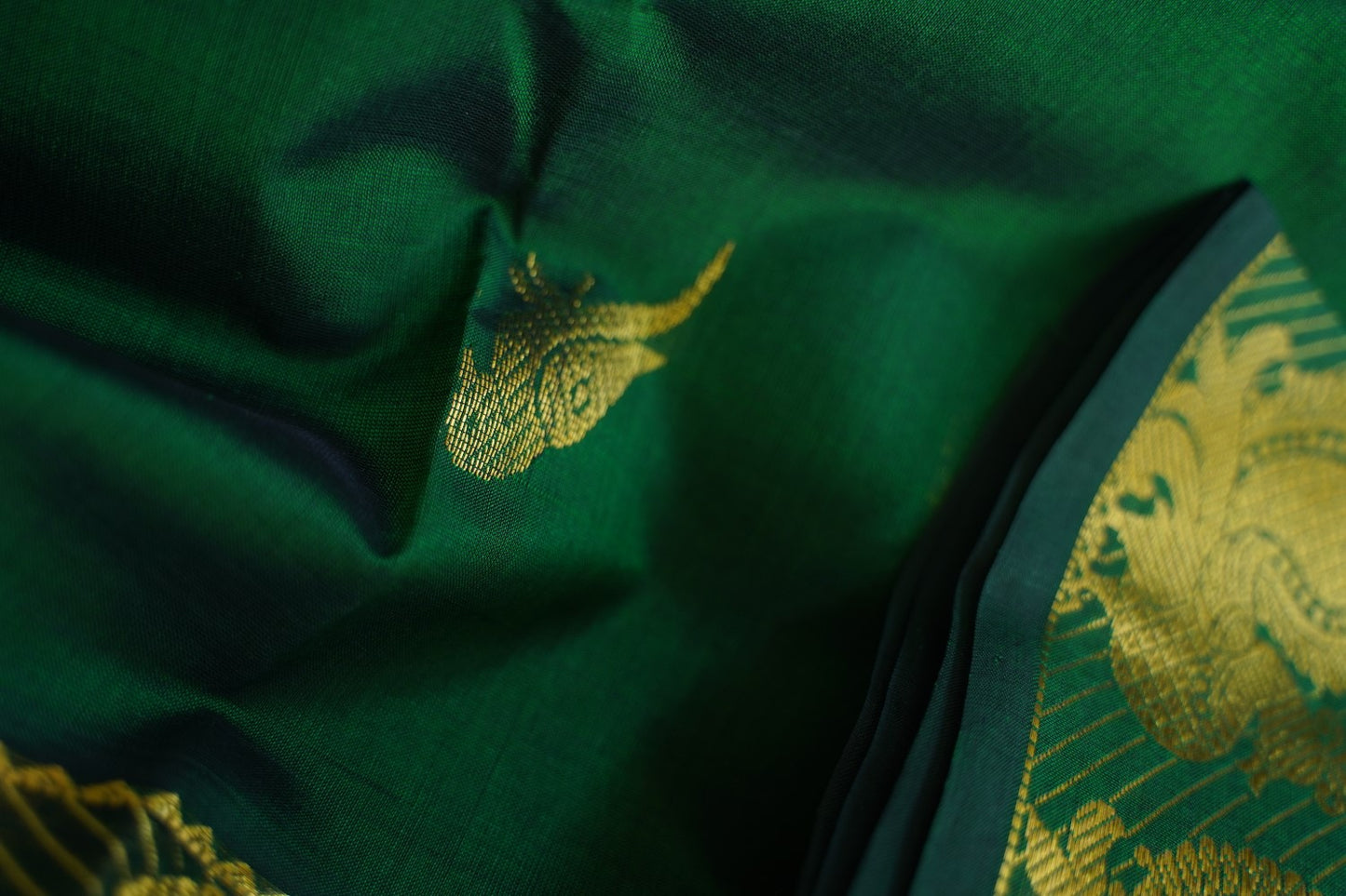 Kanchi Handloom Silk Cotton Saree-PC16616