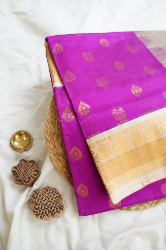 Kanchi Handloom Silk Cotton Saree PC15508