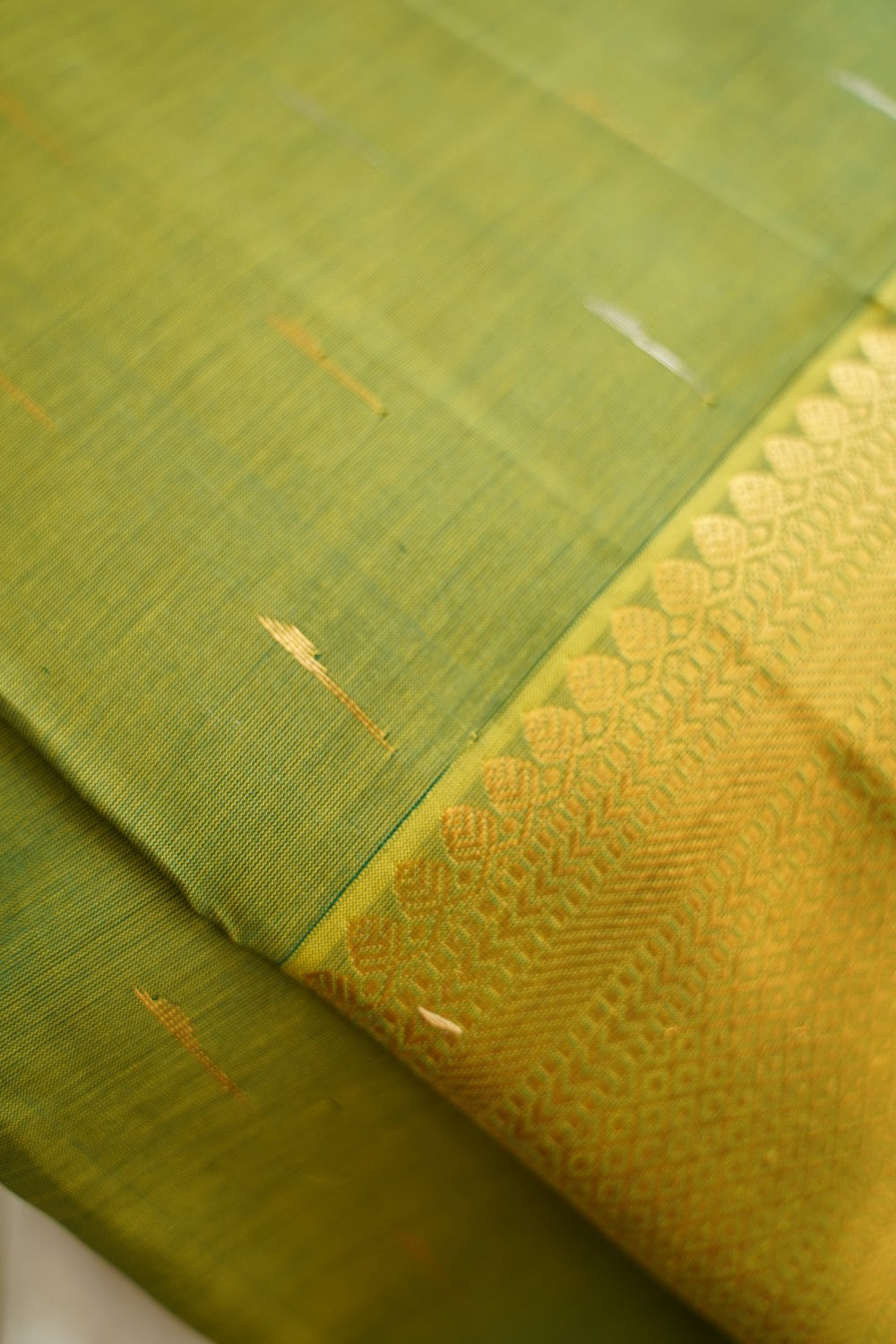 Kanchi Handloom Silk Cotton Saree PC15506