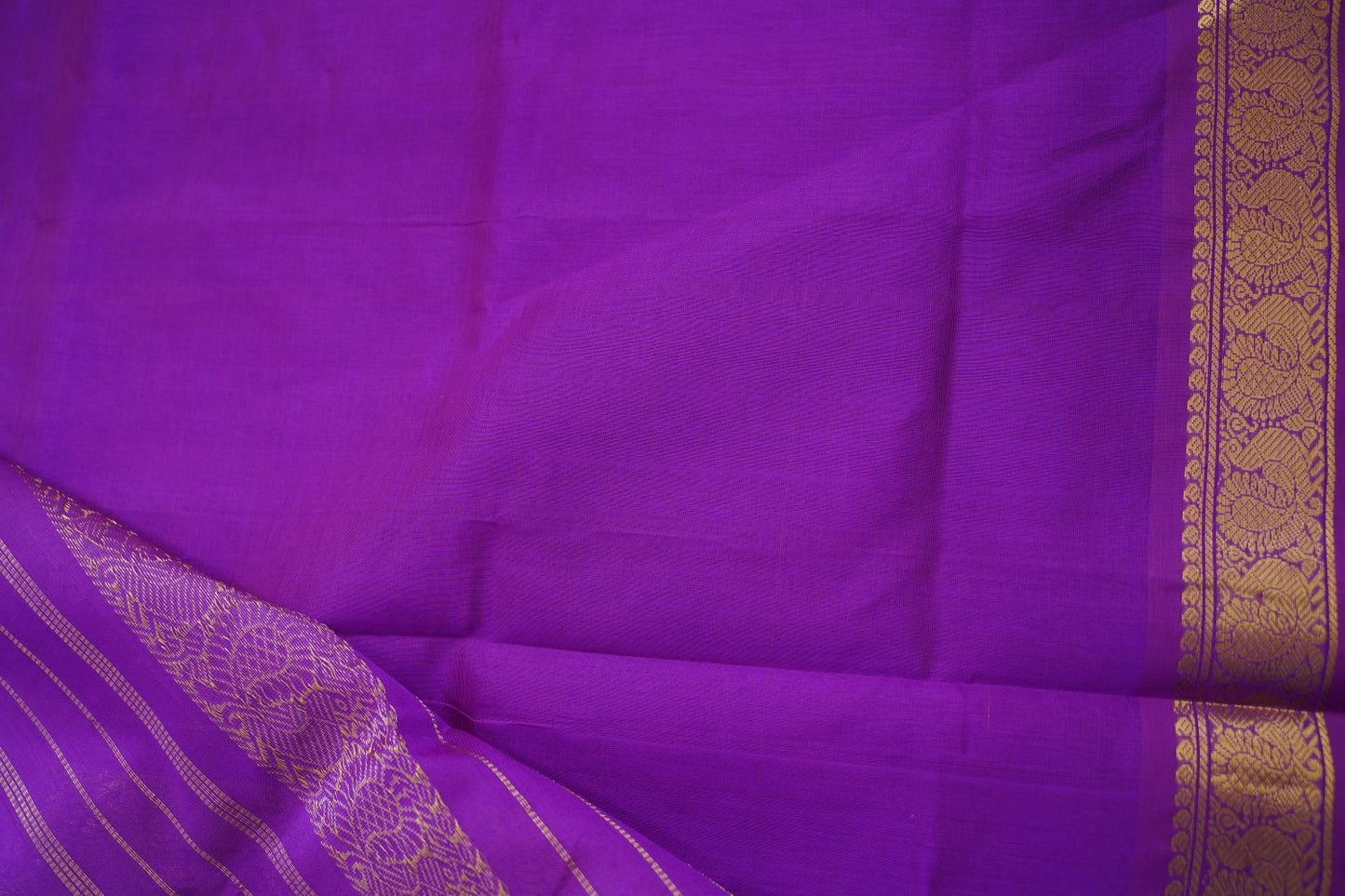 Kanchi Handloom Silk Cotton Saree PC15509