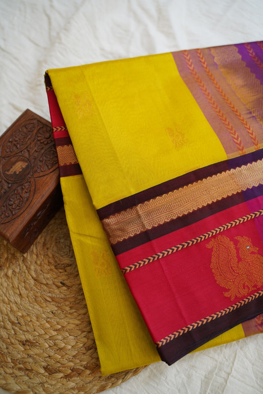 Kanchi Handloom Silk Cotton Saree PC15538