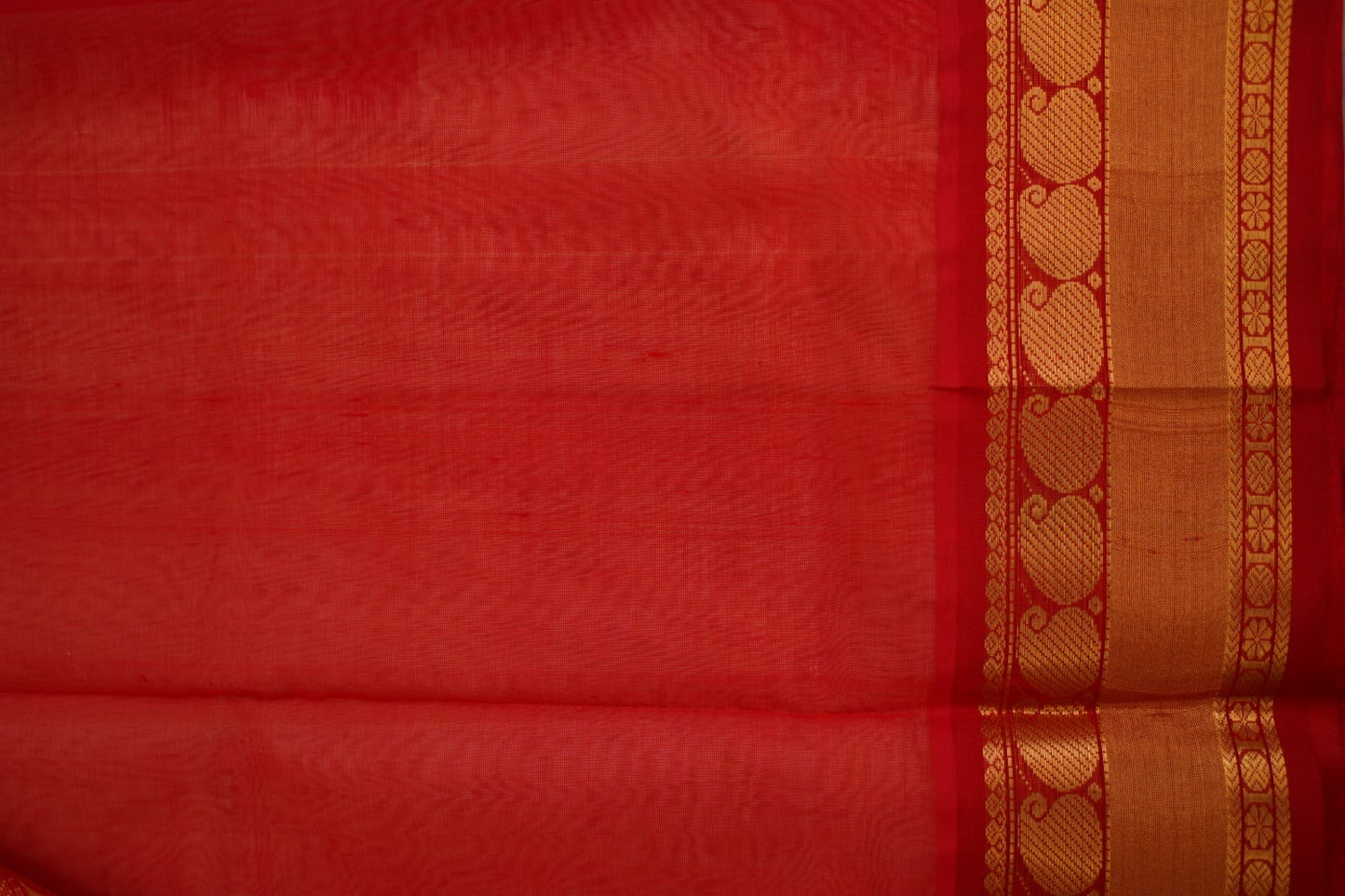 Kanchi Handloom Silk Cotton Saree PC15596