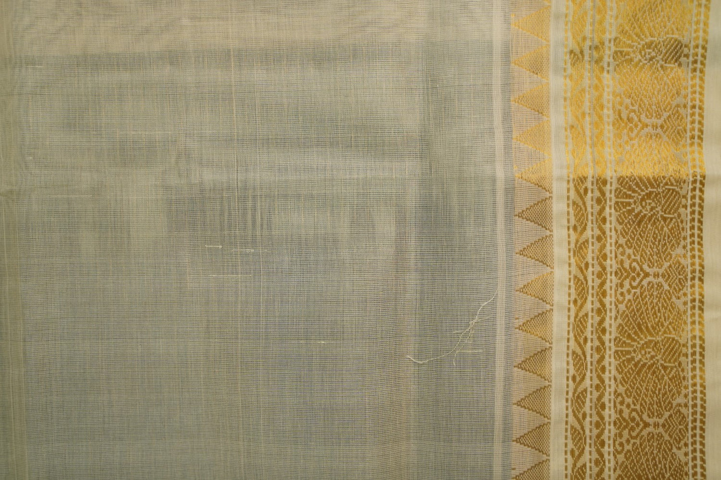 Kanchi Handloom Silk Cotton Saree PC15607