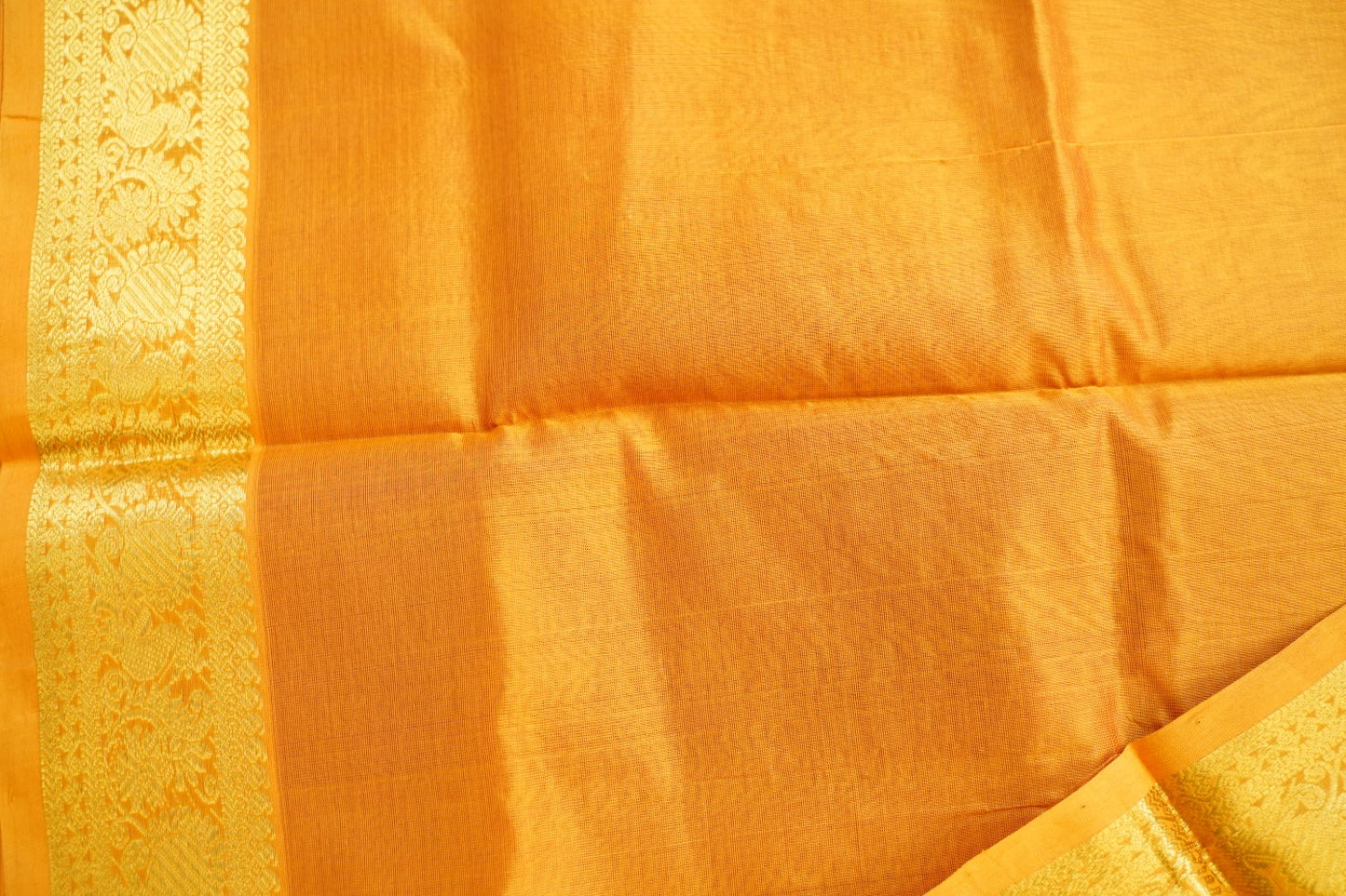 Kanchi Handloom Silk Cotton Saree PC16789