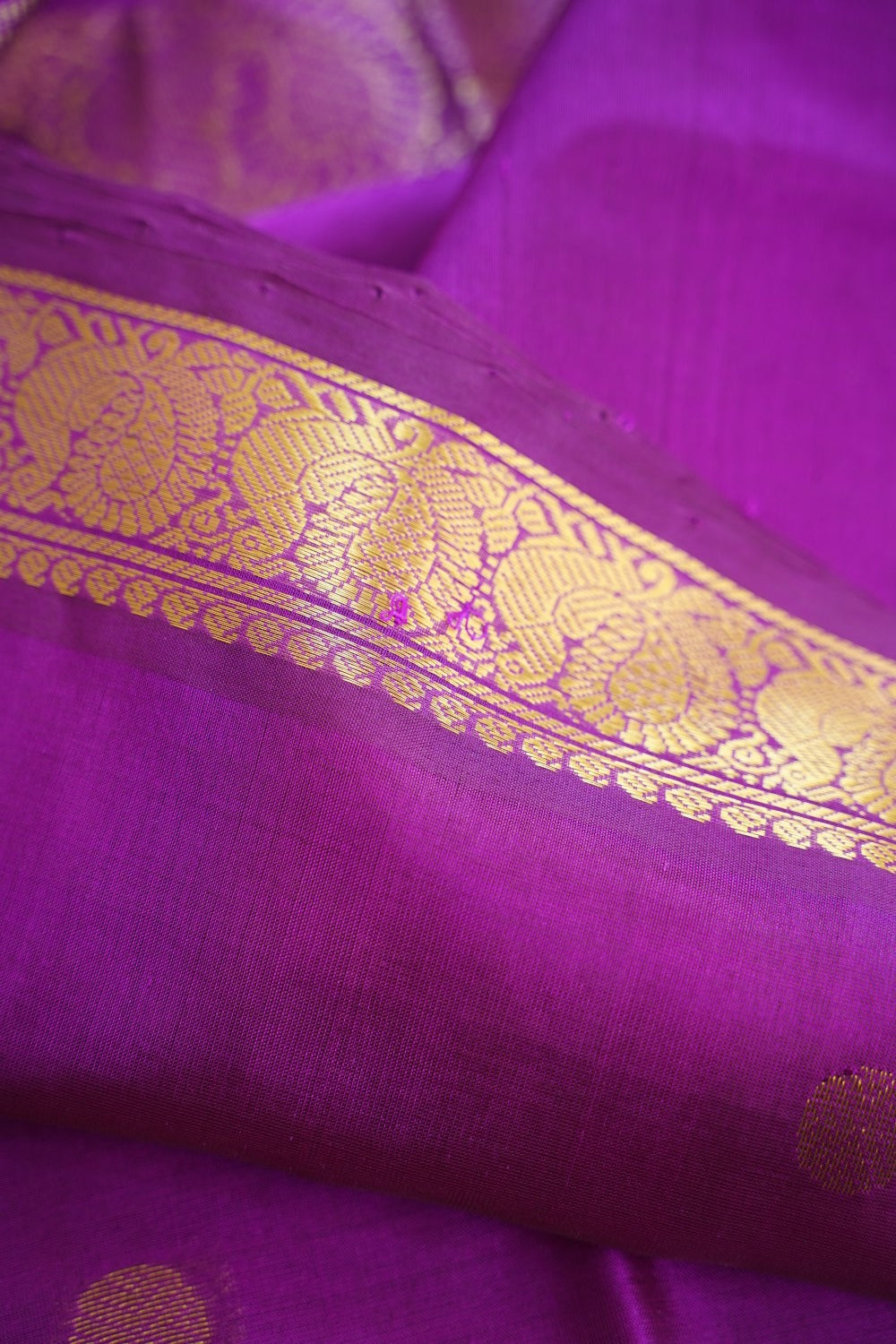 Kanchi Handloom Silk Cotton Saree PC16795