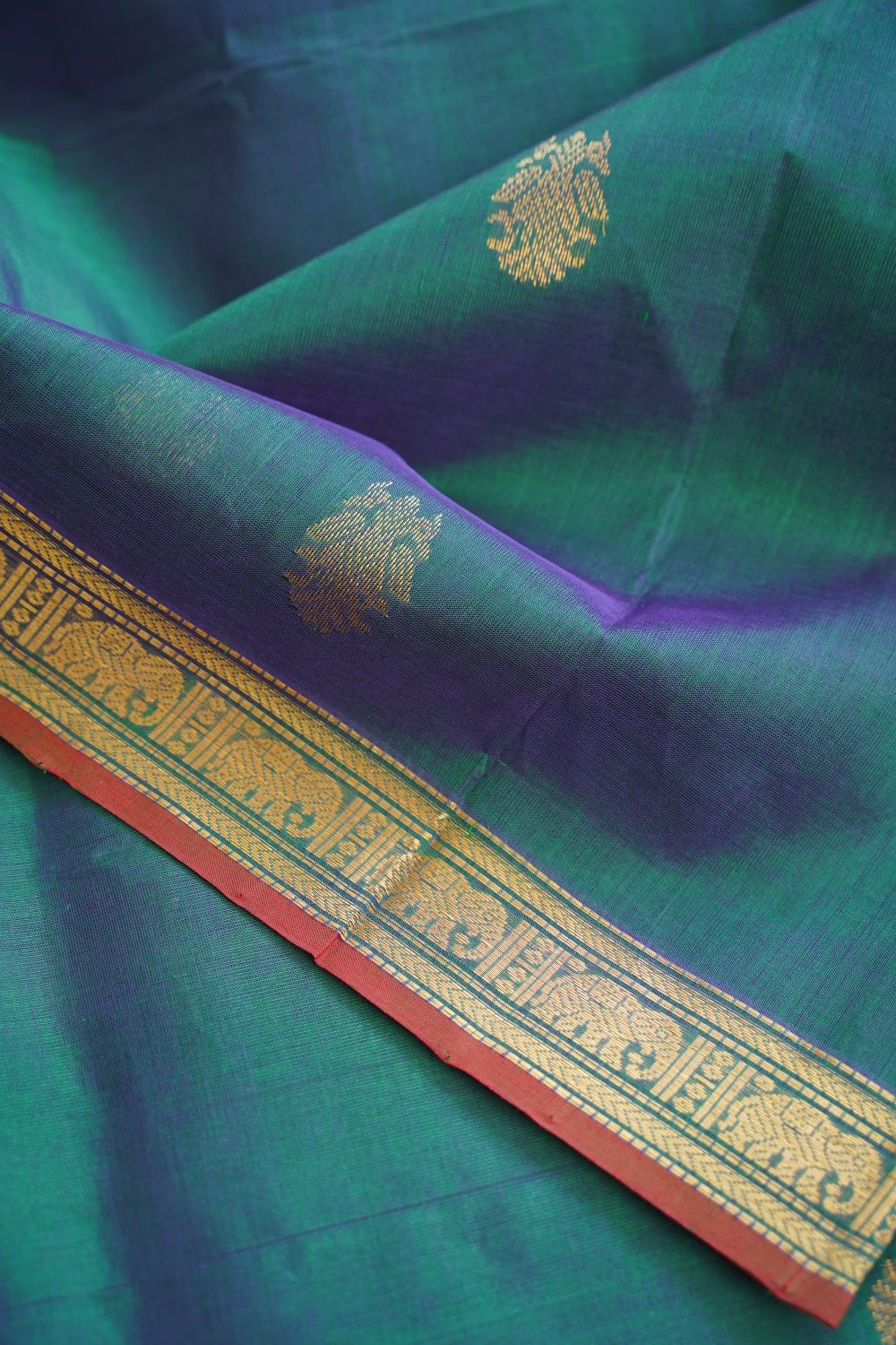 Kanchi Handloom Silk Cotton Saree PC16799