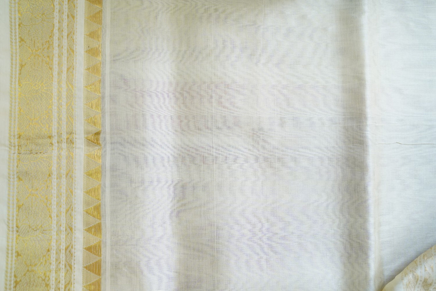 Kanchi Handloom Silk Cotton Saree PC15543