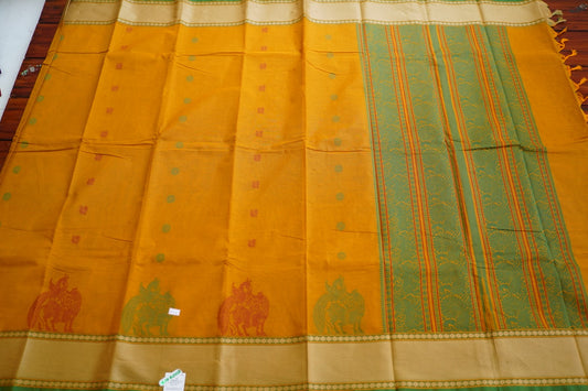 Kanchi handloom Cotton  Saree PC13115