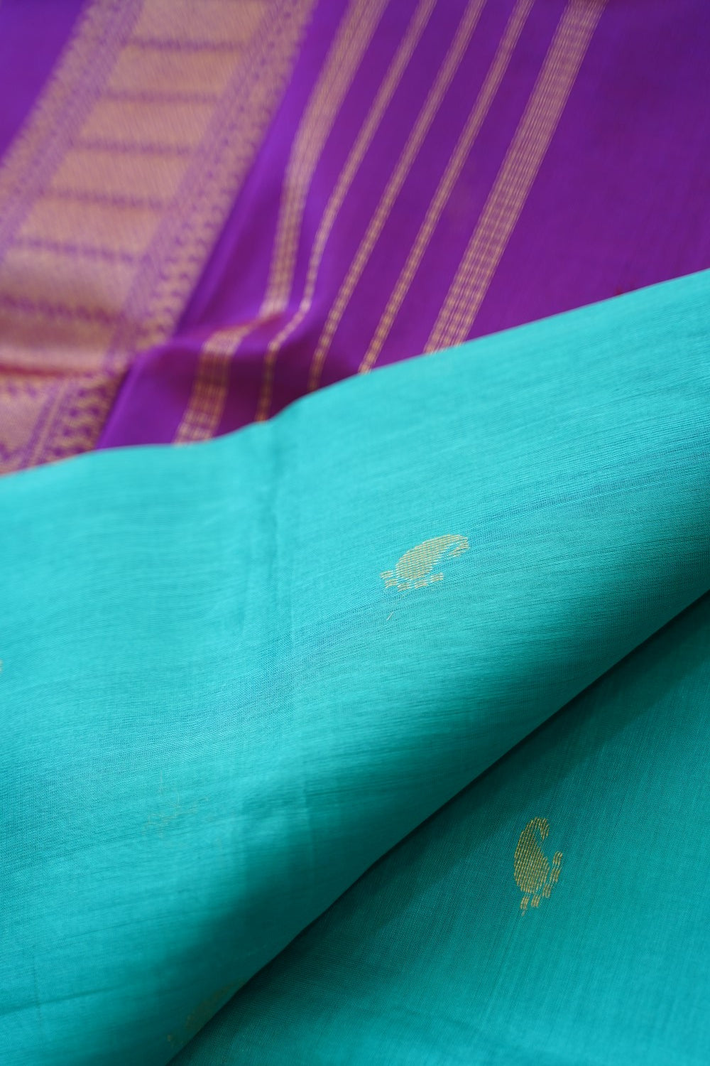 Kanchi Handloom Silk Cotton Saree PC17764