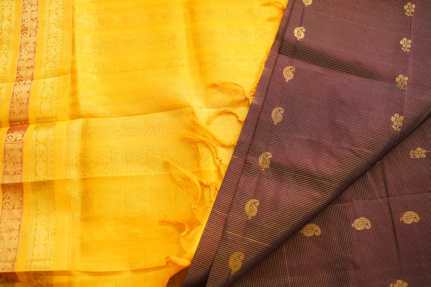 Kanchi Handloom Silk Cotton Saree PC17792