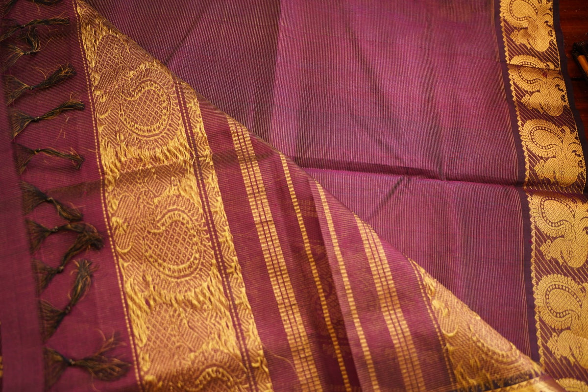 Kanchi Handloom Silk Cotton Saree PC17797