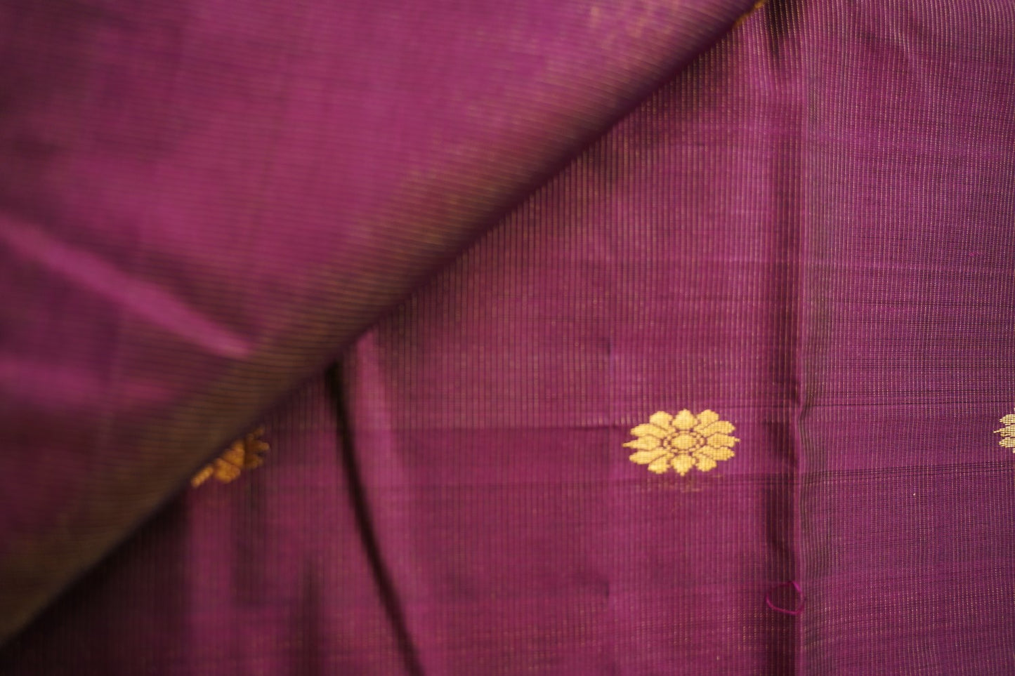 Kanchi Handloom Silk Cotton Saree PC17798