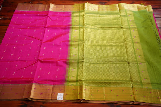 Kanchi Handloom Silk Cotton Saree PC12183