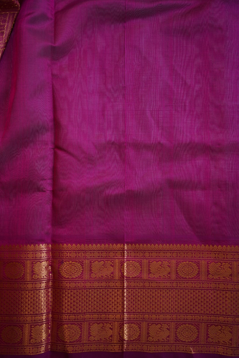 Kanchi Handloom Silk Cotton Saree PC12196