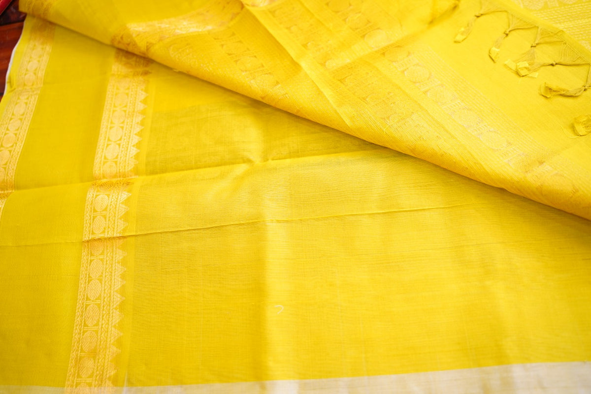 Kanchi Handloom Silk Cotton Saree PC17800