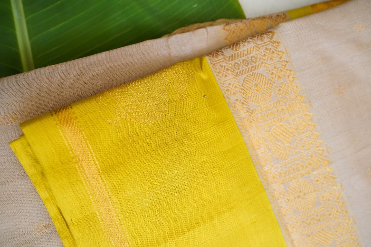 Kanchi Handloom Silk Cotton Saree PC16996