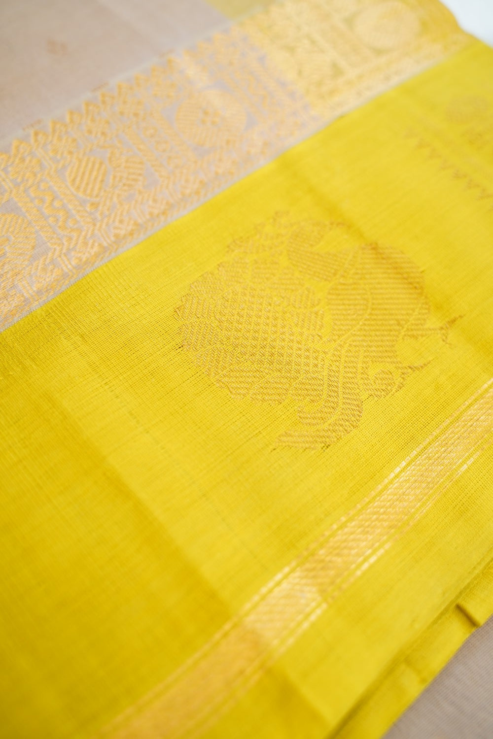 Kanchi Handloom Silk Cotton Saree PC16996