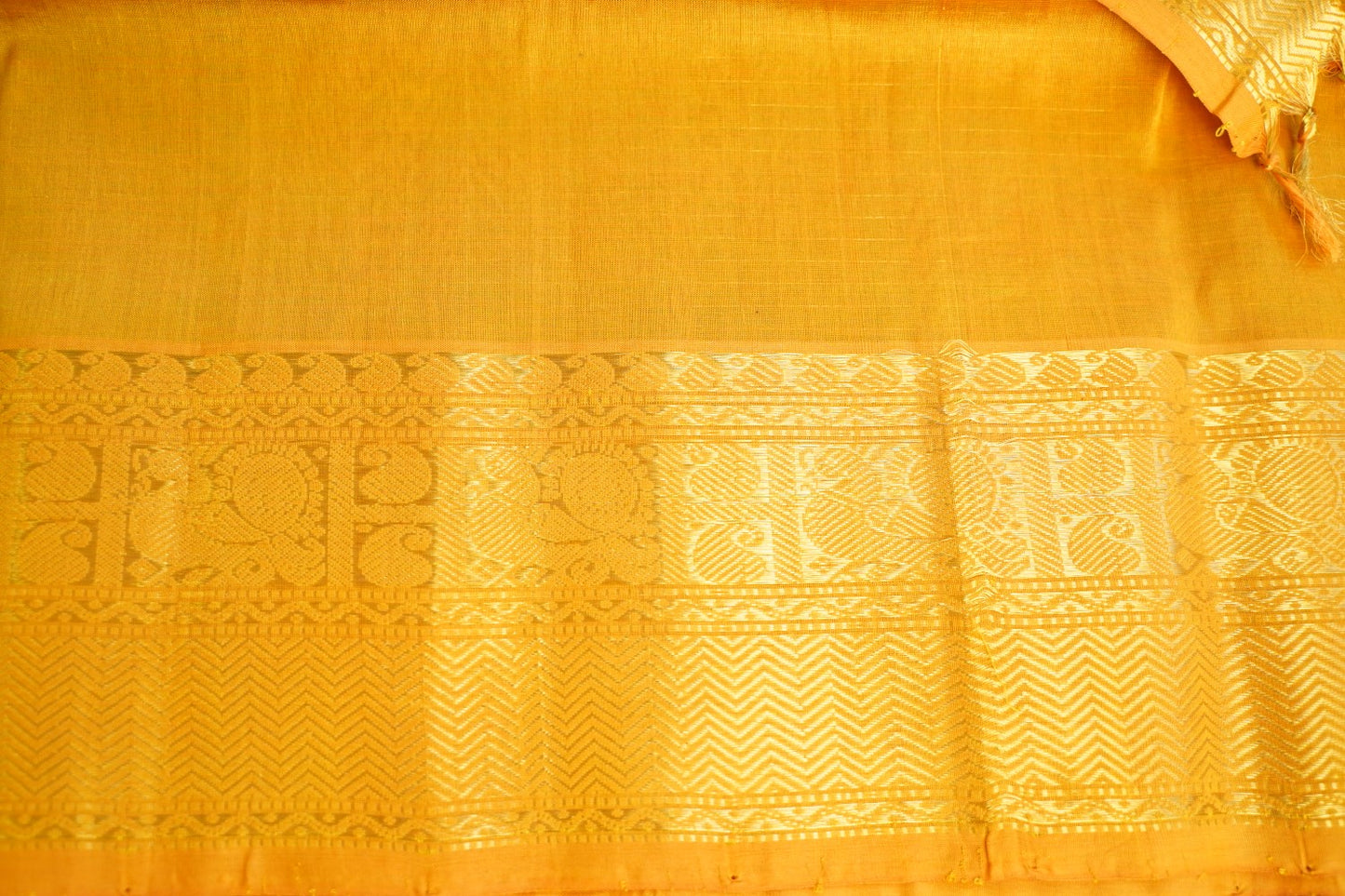 Kanchi Handloom Silk Cotton Saree PC17008