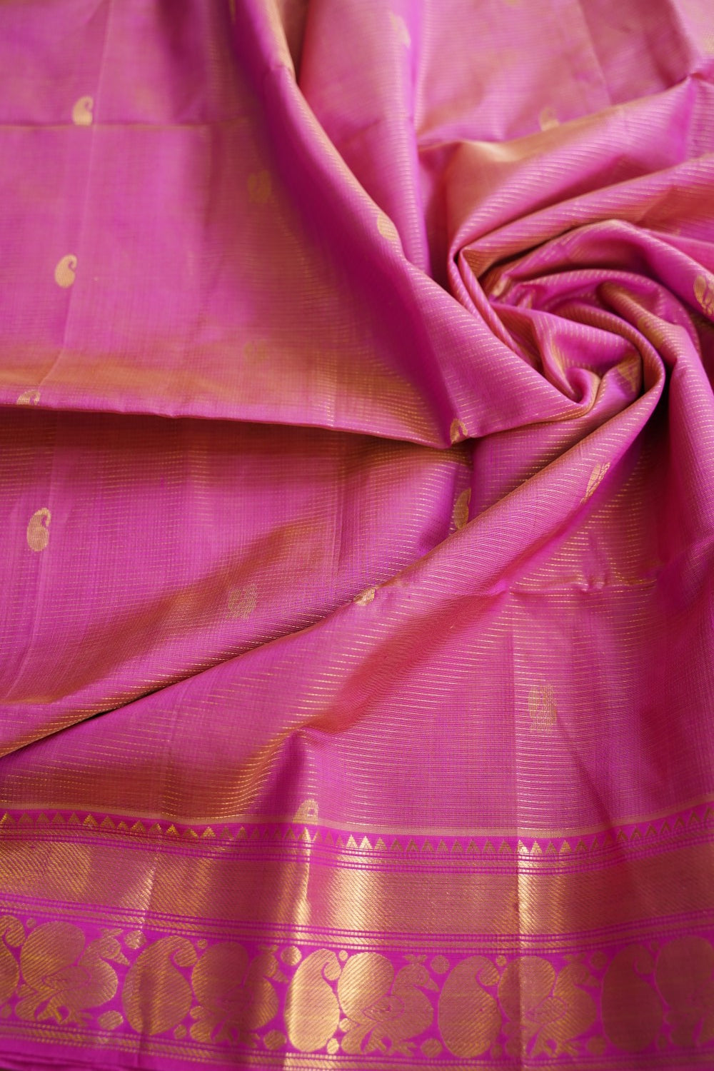 Kanchi Handloom Silk Cotton Saree PC17021